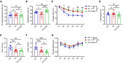 Clemastine Ameliorates Myelin Deficits via Preventing Senescence of Oligodendrocytes Precursor Cells in Alzheimer’s Disease Model Mouse